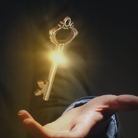 Портфолио What Data